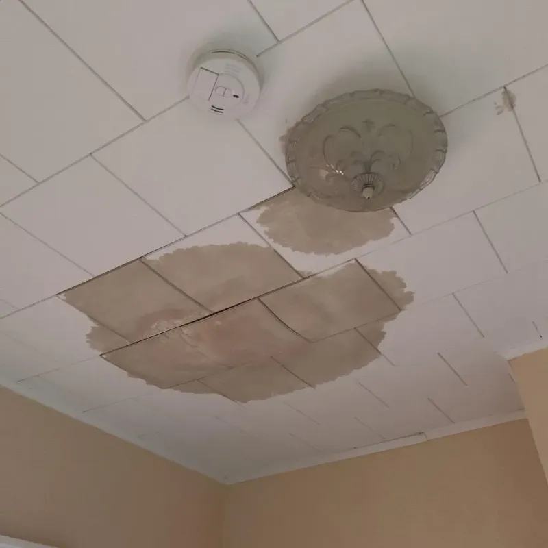 Ceiling Water Damage Repair in Anderson County, TN