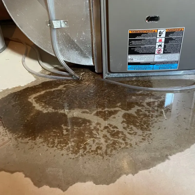 Pipe Burst and Leak Restoration in Anderson County, TN