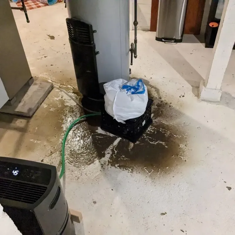 Sewage Backup Cleanup Service in Anderson County, TN
